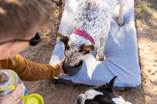Load image into Gallery viewer, HEST Dog Bed