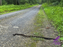 Load image into Gallery viewer, PURPLE LIZARD MAPS Dark Skies / Susquehannock State Forest, Pennsylvania