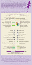 Load image into Gallery viewer, Purple Lizard Athens-Zaleski State Forest Lizard Map