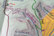Load image into Gallery viewer, Purple Lizard Pine Creek Lizard Map