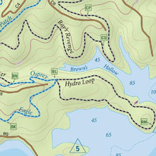 Load image into Gallery viewer, Purple Lizard Raystown Lizard Map