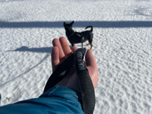 Load image into Gallery viewer, MLO Syntheitic Winch Line Dog Leashes