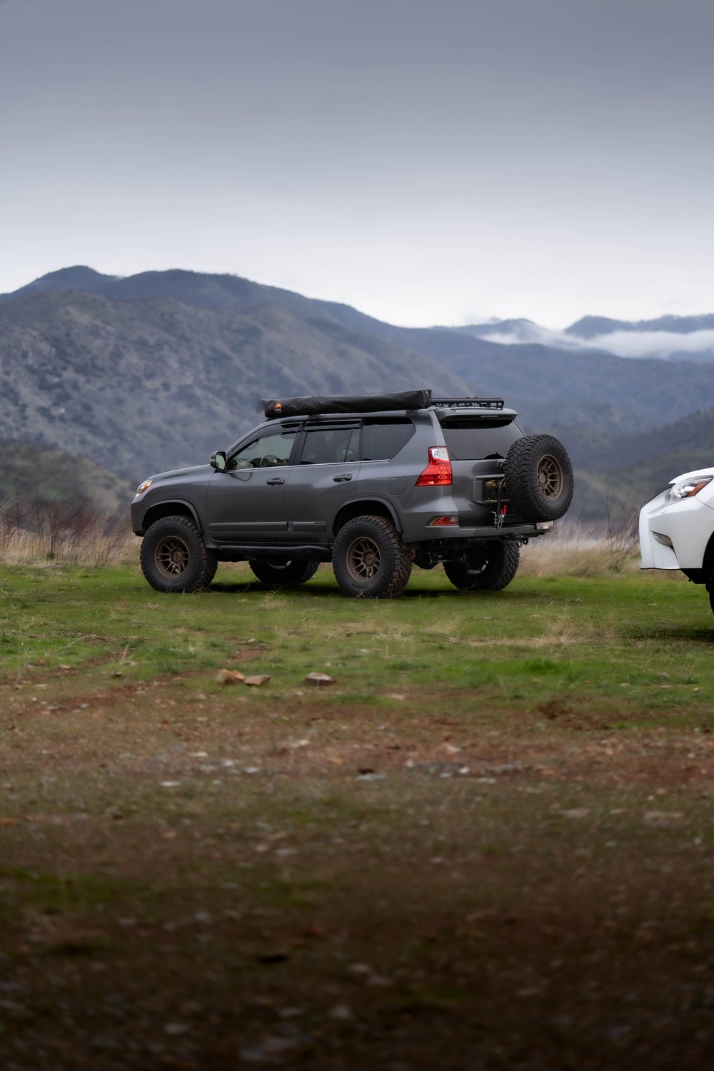 トップス zupzup 楽天市場】ZX（性別レディース）（トップス｜レディース