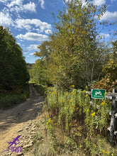 Load image into Gallery viewer, PURPLE LIZARD MAPS Dark Skies / Susquehannock State Forest, Pennsylvania
