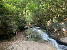 Load image into Gallery viewer, PURPLE LIZARD MAPS Ohiopyle-Laurel Highlands / Forbes State Forest, Pennsylvania
